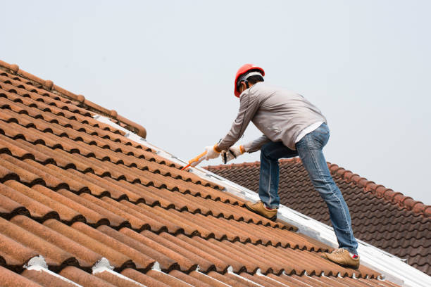 Best Roof Insulation Installation  in Collegeville, PA